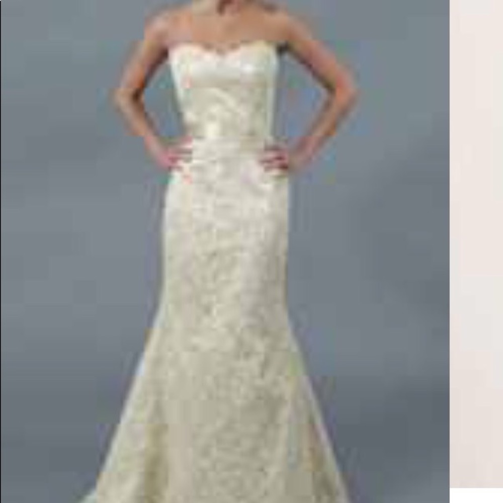 Never worn wedding dress